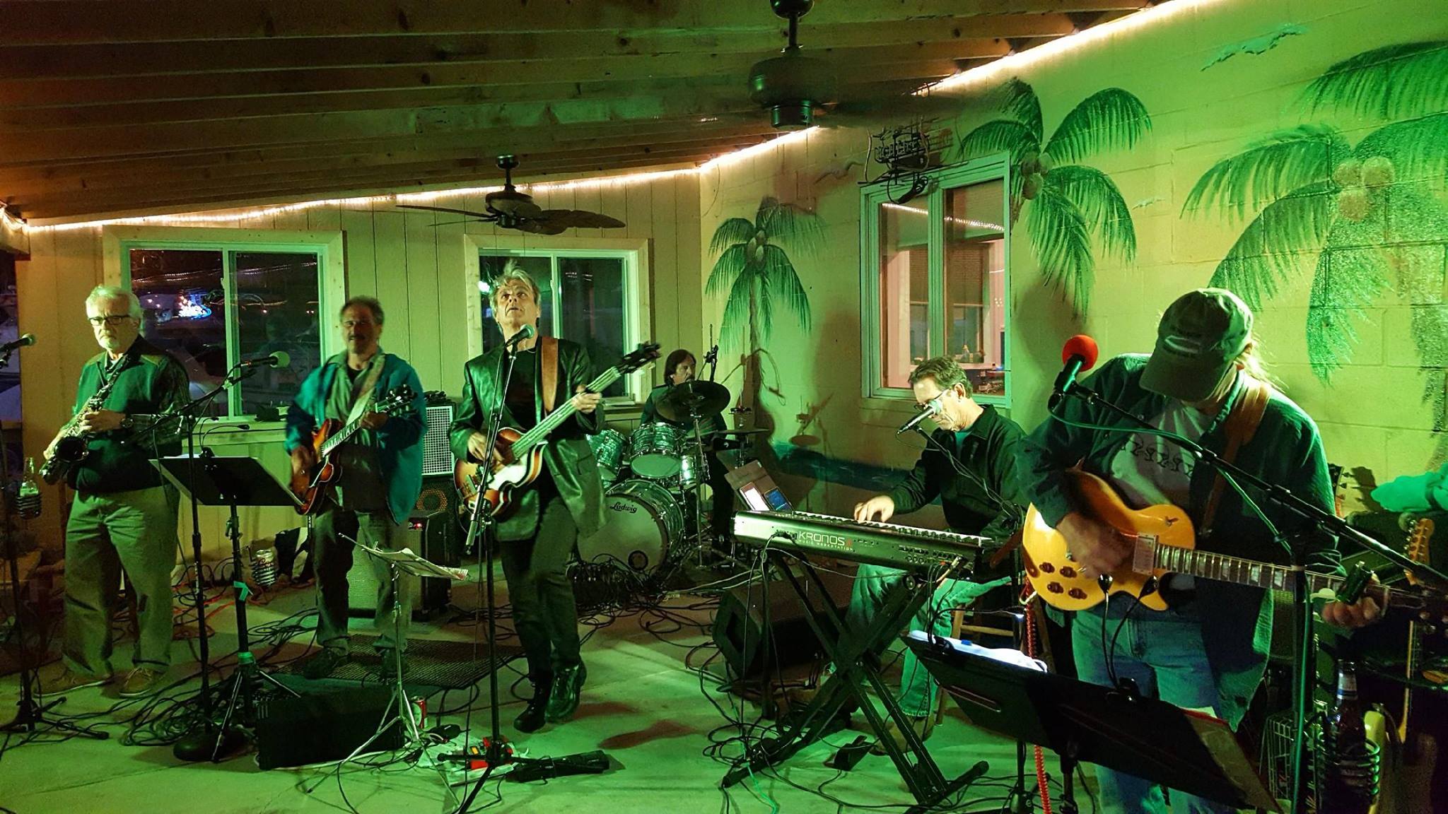 band members playing instruments in front of palm tree painted walls