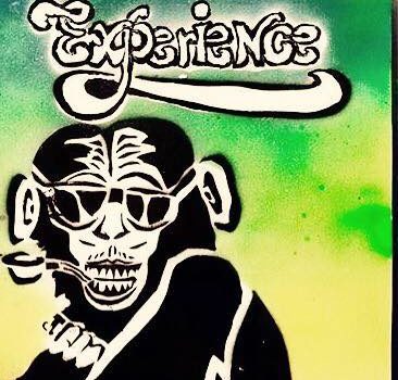 monkey with a pipe under the word experience